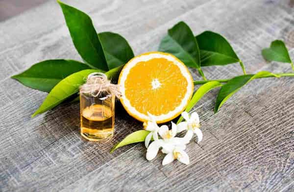 تصویر 1 از قیمت عرق بهار نارنج پامچال با کیفیت ارزان + خرید عمده